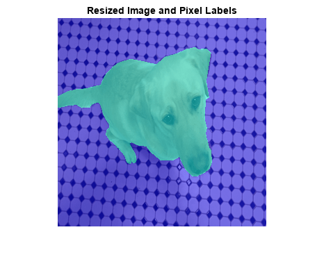 图中包含一个轴对象。标题为Resized Image和Pixel Labels的axes对象包含一个Image类型的对象。