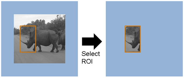 输入帧的指定区域作为像素流返回，该区域之外的像素标记为非活动。