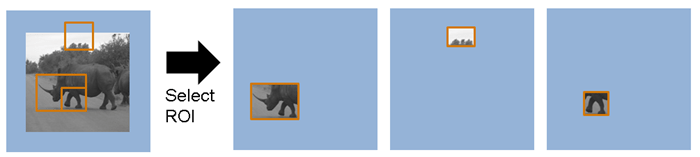 三个区域(一个部分落在活动帧之外，另一个重叠)以三个像素流的形式返回。
