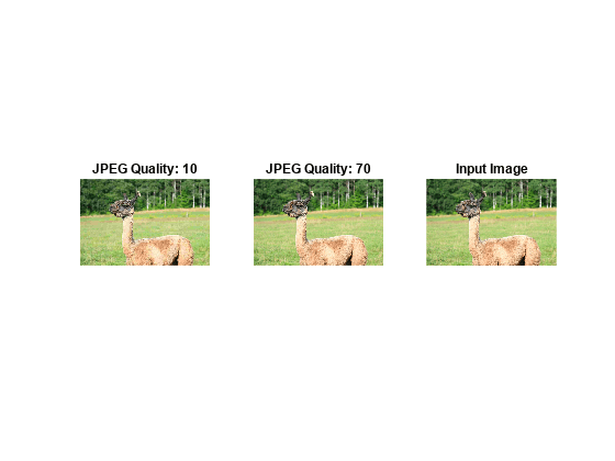 图中包含3个轴对象。标题为JPEG质量:10的轴对象1包含一个类型为image的对象。标题为JPEG质量:70的轴对象2包含一个类型为image的对象。标题为Input Image的轴对象3包含一个类型为Image的对象。