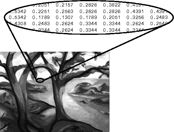 灰度图像和插图显示所选区域的像素值